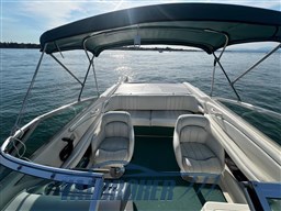 Sea Ray 220 (20)