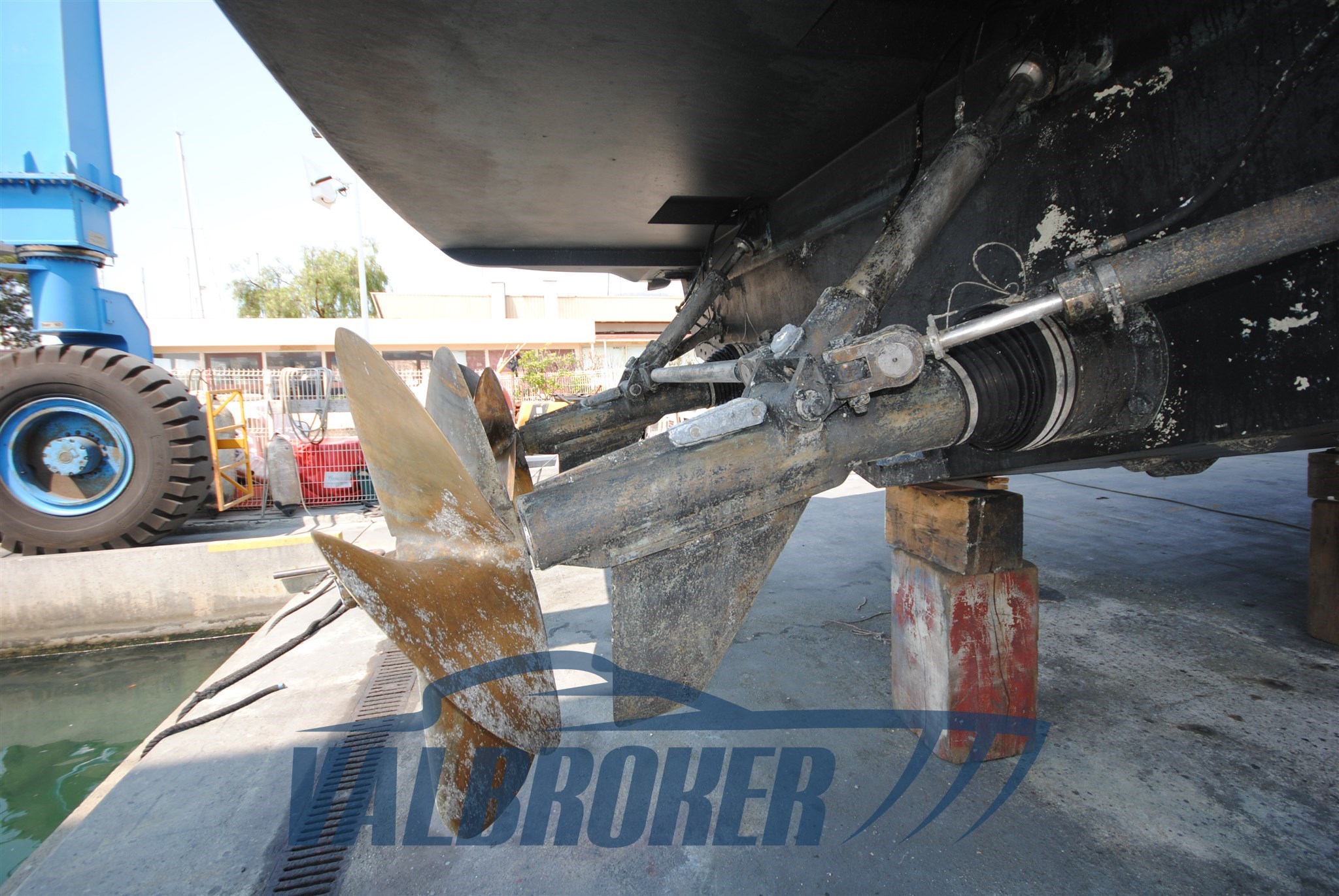 Mangusta 72-1999-(5)