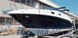 Sea Ray 255 Sundancer (81)