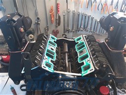 Cranchi Ellipse 21 (1)