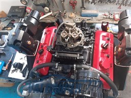 Cranchi Ellipse 21 (9)