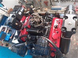 Cranchi Ellipse 21 (8)