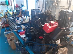 Cranchi Ellipse 21 (10)