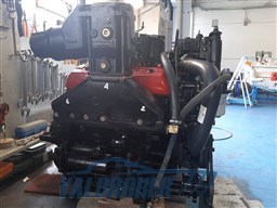 Cranchi Ellipse 21 (11)