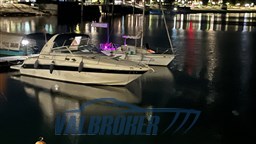 Sea ray 310 1998 (7)