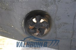 Primatist G 41.2-  2009- Valbroker (48)