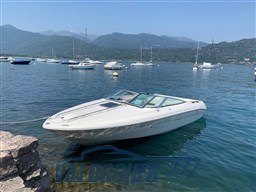 Sea Ray 200 (3)
