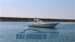 Tecnoyacht Puma 2000 (1)