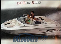 Sea Ray 190 br