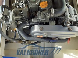 Gozzo Olandese Valbroker(25)