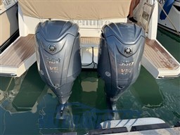 Sealine c 335 foto 2025 (12)