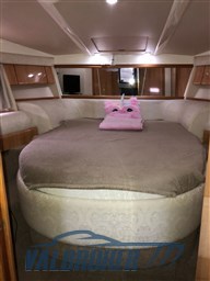 Sealine S 41 (8)