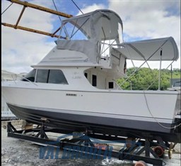 Blackfin 29 1997 (4)