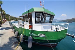 sd8aswphuc.jpg