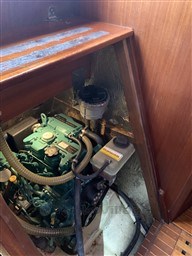 jx1pf2u65l.jpg
