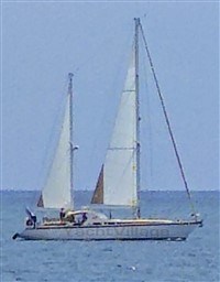 pdak61s0gq.jpg