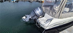s342fqy0by.jpg