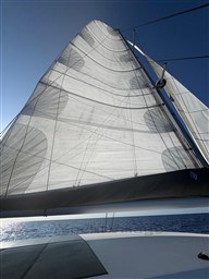 1wcpzc9fd6.jpg