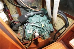 o5wt66rw8i.jpg