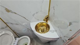 npigsq55it.jpg
