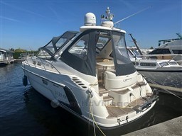 rn7m89p4qt.jpg
