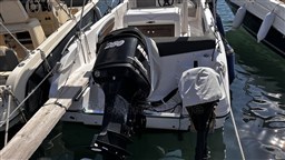 IMG_1937.jpeg
