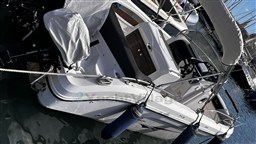 IMG_1956.jpeg
