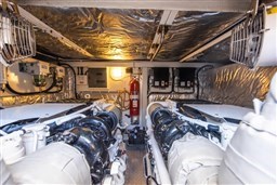 PHOTO-2023-01-30-18-53-48 4.jpeg