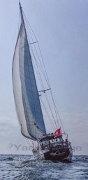 imgi_68_1983-cavalier-cavalier-92-sail-9579153-20241011030137201-1_XLARGE.jpg