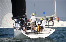 Corsa 915 Sugar - 15