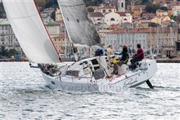 Pogo 30 - 32