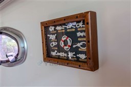 uyygx05zp6.jpg