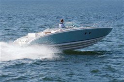 xgj8ieus7w.jpg