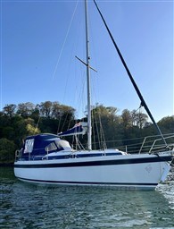 pxd86j4pfb.jpg