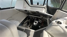 6cv292cy9g.jpg