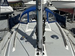 pet9lp7x5a.jpg