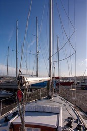 cn1shpq72r.jpg