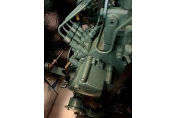 f54bruxgxt.jpg