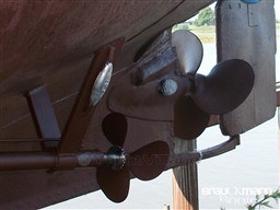 d1wb29pw66.jpg