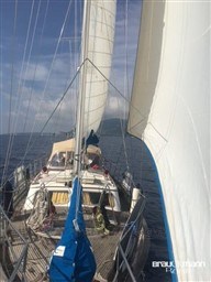 d0fgw595ti.jpg