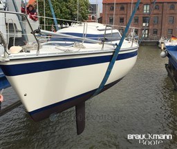 rxs2479x2o.jpg