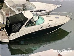 sr4lt5jb8g.jpg