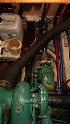 IMG_20260713_150247.jpg