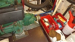 IMG_20260713_150253.jpg
