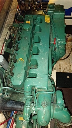 IMG_20260713_150241.jpg