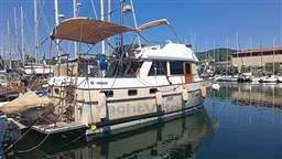 IMG_20260713_152919.jpg