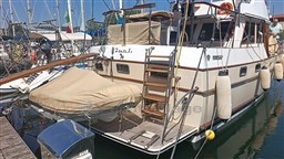 IMG_20260713_152926.jpg