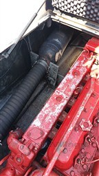 IMG_20260813_153537.jpg