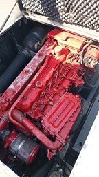 IMG_20260813_153528.jpg