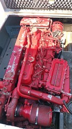 IMG_20260813_153042.jpg